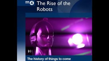 - The Role of Robots in Societies